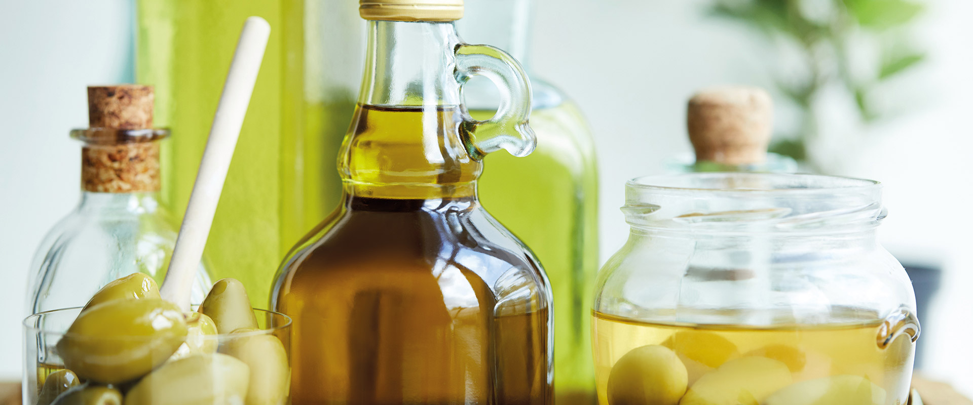 Lagerung Olivenöl –  Fratelli Carli