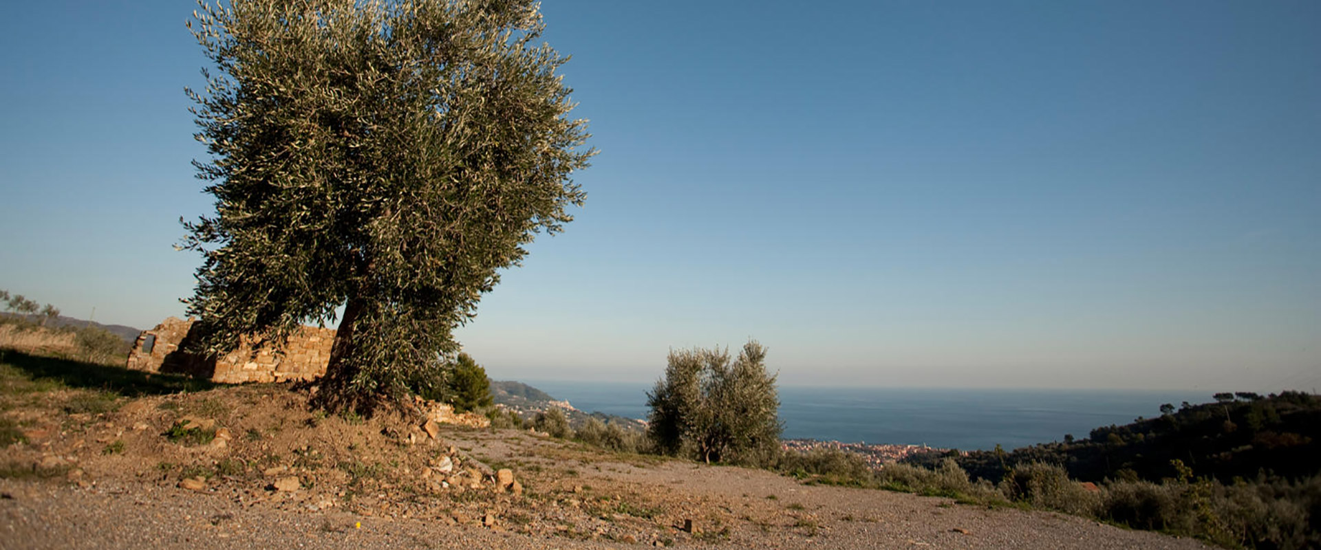 vista dall'azienda agricola