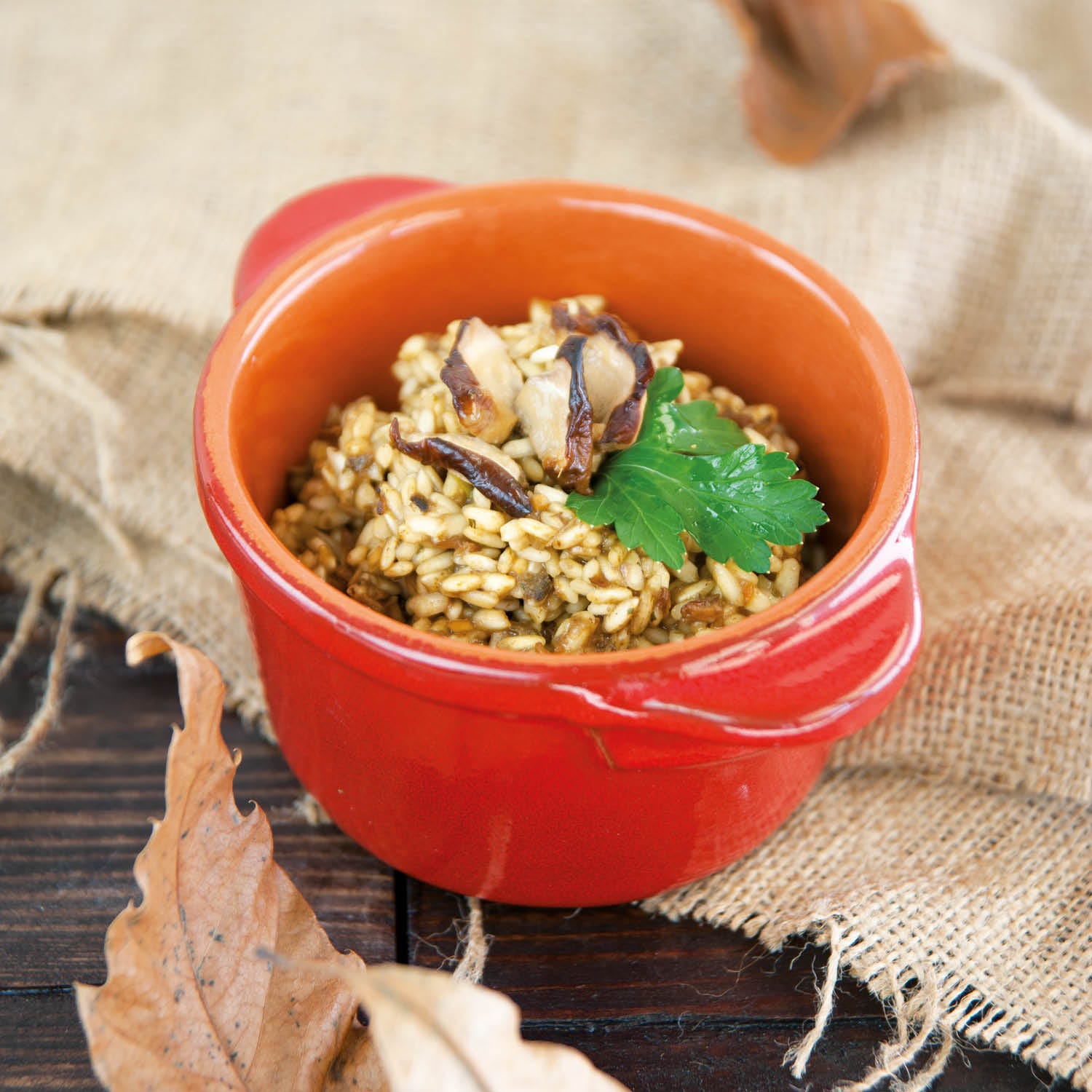 Risotto mit getrockneten Steinpilzen