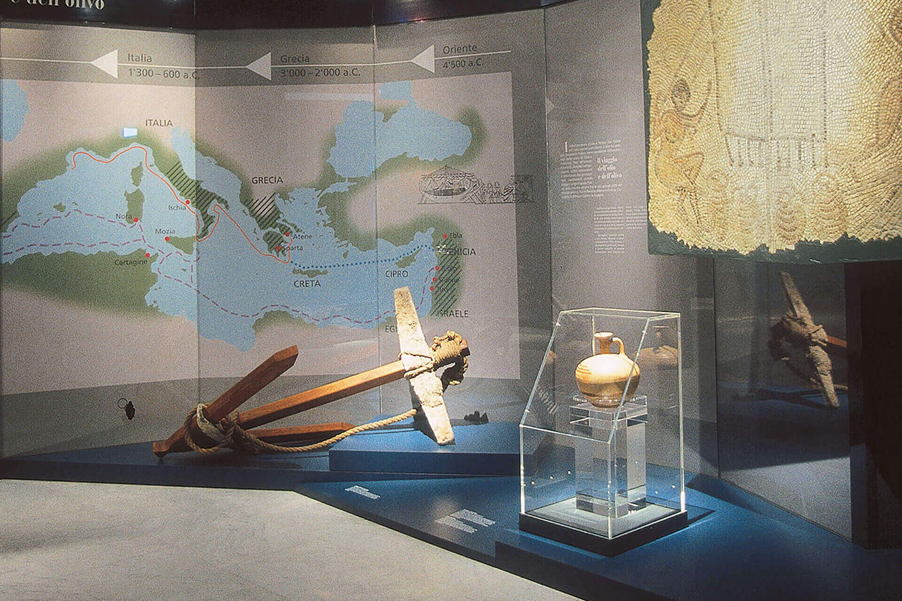 Olivenbaum-Museumshalle