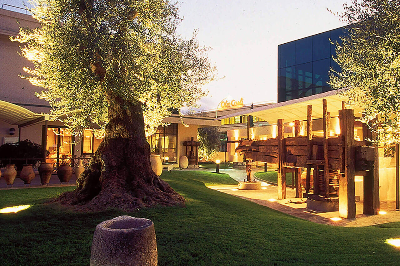 Garten des Olivenmuseums Carlo Carli